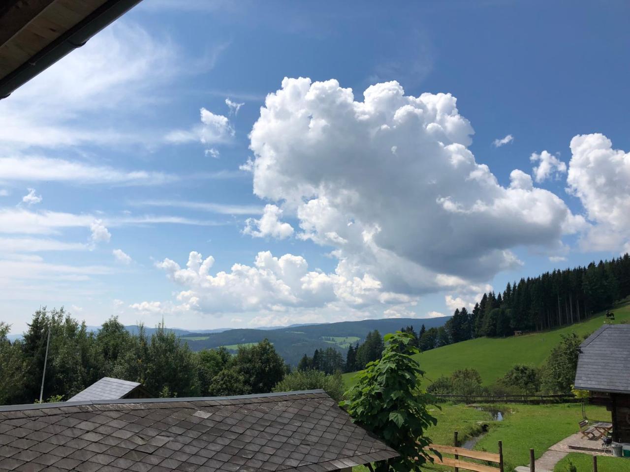 Waldheimathuette Villa Sankt Kathrein am Hauenstein Bagian luar foto