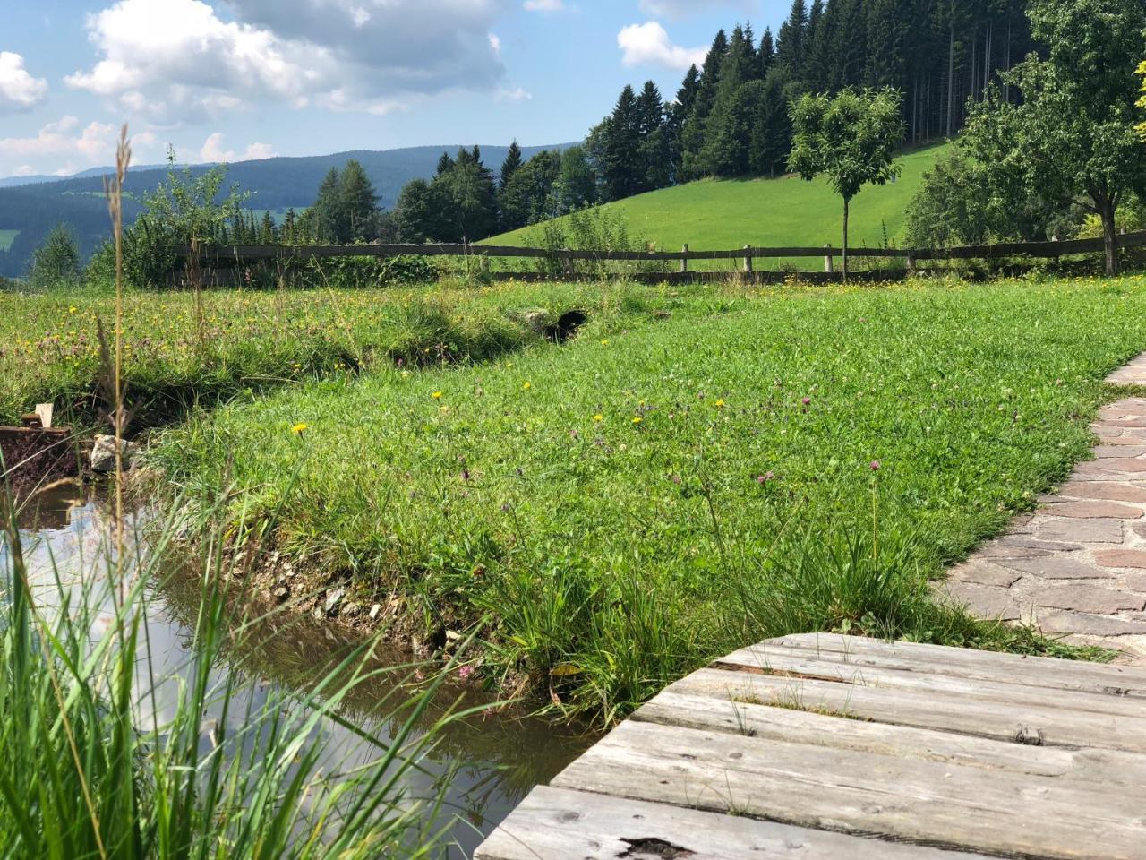 Waldheimathuette Villa Sankt Kathrein am Hauenstein Bagian luar foto