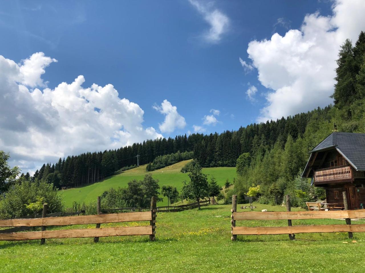 Waldheimathuette Villa Sankt Kathrein am Hauenstein Bagian luar foto