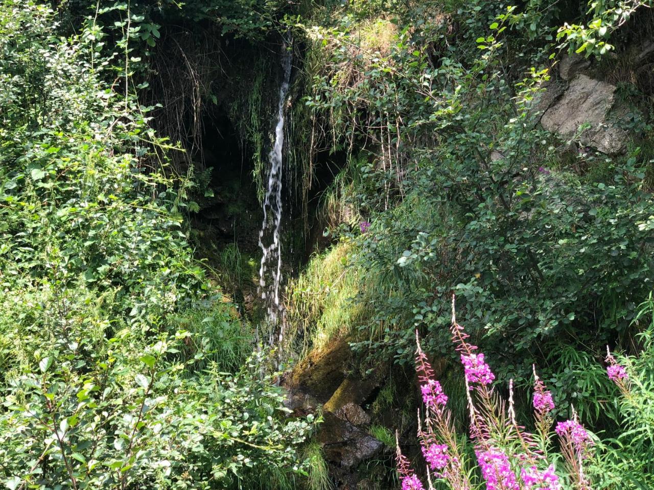 Waldheimathuette Villa Sankt Kathrein am Hauenstein Bagian luar foto