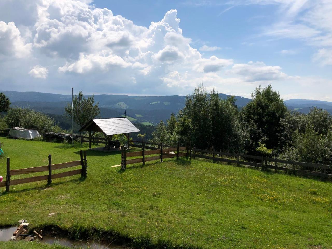 Waldheimathuette Villa Sankt Kathrein am Hauenstein Bagian luar foto