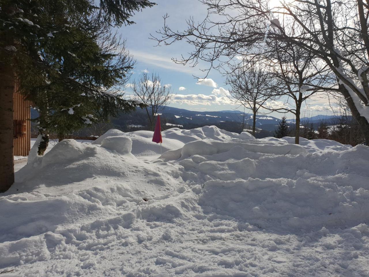 Waldheimathuette Villa Sankt Kathrein am Hauenstein Bagian luar foto