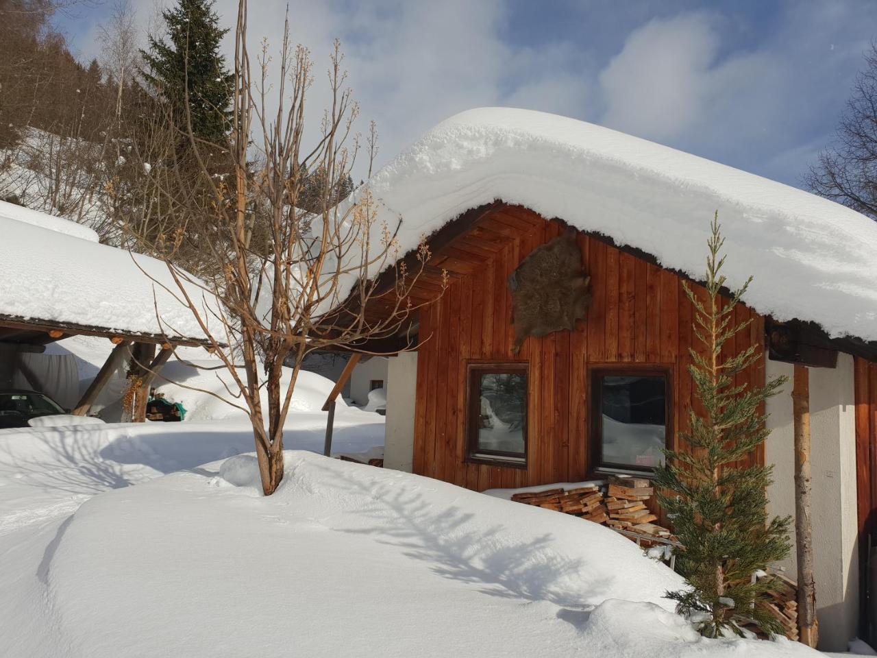Waldheimathuette Villa Sankt Kathrein am Hauenstein Bagian luar foto