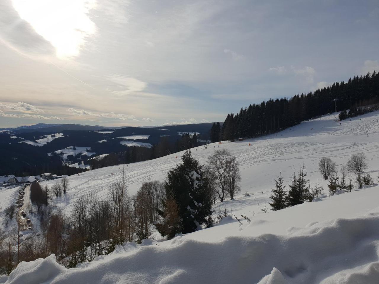 Waldheimathuette Villa Sankt Kathrein am Hauenstein Bagian luar foto
